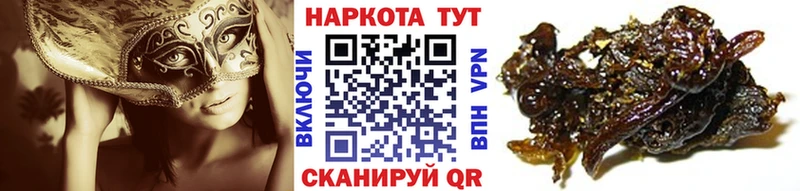 Где купить наркоту Кудрово blacksprut как войти  СОЛЬ  Гашиш  АМФ  КОКАИН  Мефедрон  Бошки Шишки 