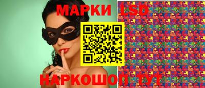 кокс Донской