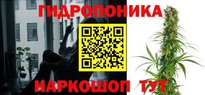 кокс Донской