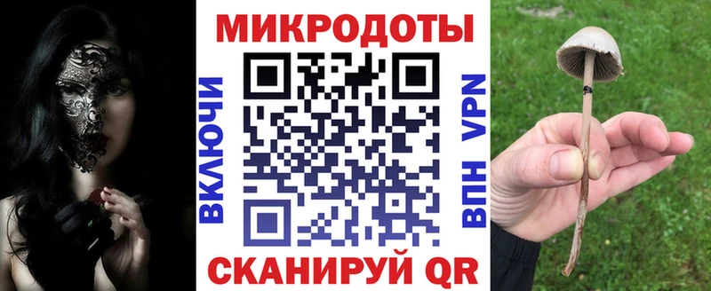 Галлюциногенные грибы Cubensis  наркотики  Кудрово 
