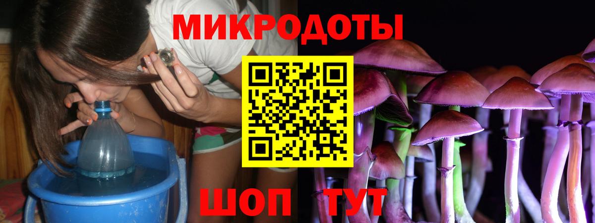 Псилоцибиновые грибы мухоморы Кудрово