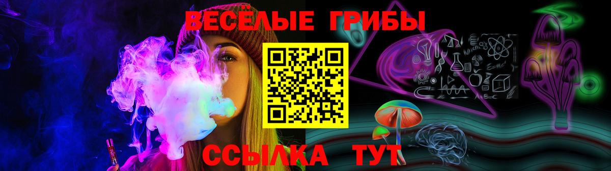 Псилоцибиновые грибы мухоморы  Вход с VPN  Кудрово 