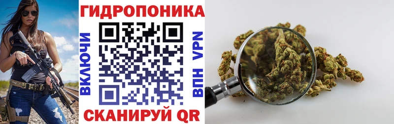 где можно купить наркотик  Кудрово  Шишки марихуана LSD WEED 